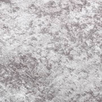 Washable Grey Rug 190x300 cm | Anti-Slip & Soft Velvet