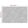 Washable Grey Rug 190x300 cm | Anti-Slip & Soft Velvet