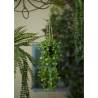 Emerald Artificial Ceropegia Hanging Bush 50 cm in Pot Colour ceropegia Quantity in Package 1 