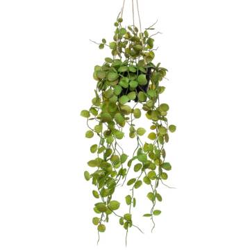 Emerald Ceropegia Hanging Bush 50 cm - Lifelike Greenery