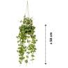 Emerald Ceropegia Hanging Bush 50 cm - Lifelike Greenery