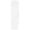 Stylish Bathroom Mirror Cabinet 80x15x60 cm - Shining White