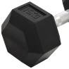 30 kg Cast Iron Dumbbells - Durable & Multifunctional