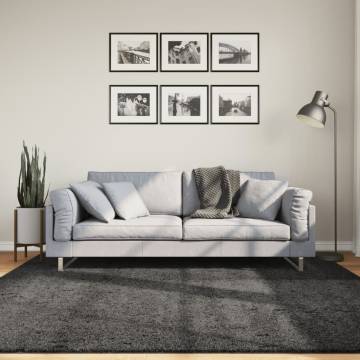 Shaggy Rug High Pile 200x200 cm - Modern Anthracite Design