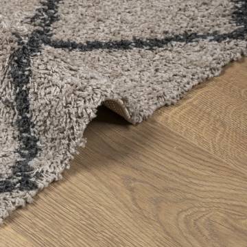 Shaggy Rug High Pile - Modern Beige & Anthracite 80x150 cm