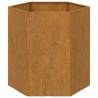 Planter Rusty 40x40x45 cm Corten Steel - Durable & Stylish