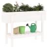 Garden Raised Bed White 101x30x69 cm - Solid Pine Wood