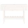 Garden Raised Bed White 101x30x69 cm - Solid Pine Wood