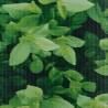 Garden Privacy Screen PVC 70x0.19 m Green - Enhance Your Space