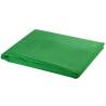 Backdrop Support System 500x300 cm Green for Photographers