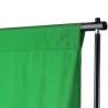 Backdrop Support System 500x300 cm Green for Photographers