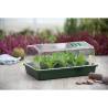 Nature Propagator 55x31x21 cm – Optimal Plant Growth