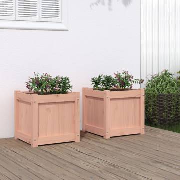 Garden Planters 2 pcs Solid Wood Douglas | HipoMarket