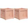 Garden Planters 2 pcs Solid Wood Douglas | HipoMarket