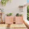 Garden Planters 2 pcs Solid Wood Douglas | HipoMarket