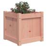 Garden Planters 2 pcs Solid Wood Douglas | HipoMarket