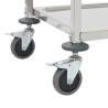 Stainless Steel 2-Tier Kitchen Trolley - Stylish & Functional