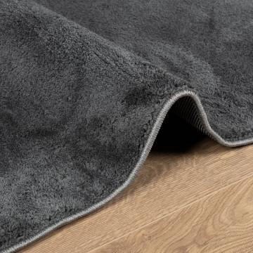 Rug OVIEDO Short Pile Anthracite 80x200 cm | Soft & Durable