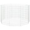 10-Panel Rabbit Cage - Spacious & Durable 54x100 cm