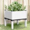 Garden Planter with Legs White 40x40x42 cm PP Colour white Size 40 x 40 x 42 cm Quantity in Package 1 