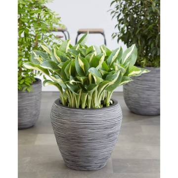 Capi Vase Nature Rib Tapered 42x38 cm Anthracite - Hipomarket