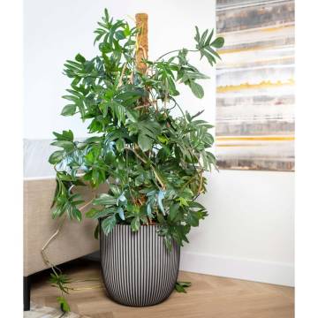 Capi Planter Groove 43x41 cm Anthracite - Eco-Friendly Design