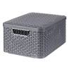 Curver Storage Box with Lid Style M 18L Metallic Silver Colour silver Quantity in Package 1 Capacity 18 l Number of 