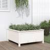 Garden Planter White Solid Wood Pine - 82.5x82.5x39 cm