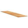 Garden Pathway 200x50 cm Solid Wood Acacia – Durable & Rustic