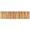 Garden Pathway 200x50 cm Solid Wood Acacia – Durable & Rustic