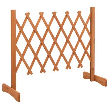 Garden Trellis Fence Orange - Solid Firwood 120x60 cm