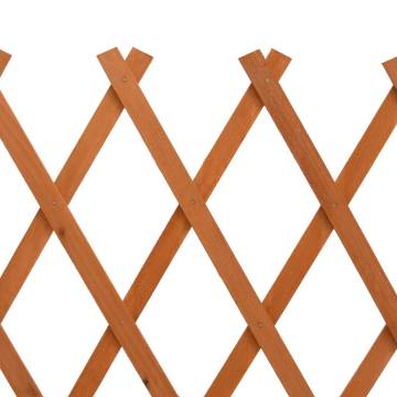 Garden Trellis Fence Orange - Solid Firwood 120x60 cm