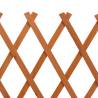 Garden Trellis Fence Orange - Solid Firwood 120x60 cm