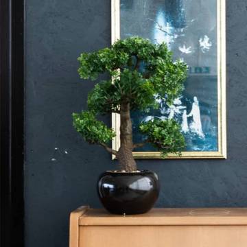 Emerald Artificial Ficus Mini Bonsai - 47 cm | Hipo Market