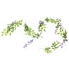 Artificial Flower Garlands - 6 pcs Purple 200 cm | HipoMarket