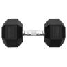 25 kg Cast Iron Dumbbell - Durable & Versatile Workout Gear