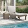 Comfortable Light Brown Sun Lounger - 155x58x83 cm