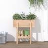 Garden Planter 62x30x69 cm Solid Wood Pine - Hipomarket