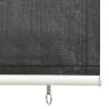 Outdoor Roller Blind 60x140 cm Anthracite | Hipomarket