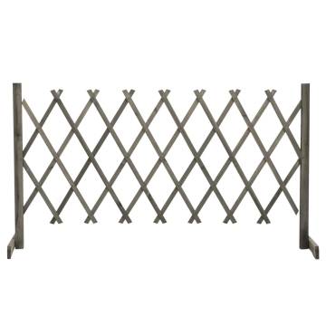 Garden Trellis Fence Grey 150x80 cm | Solid Firwood Panel