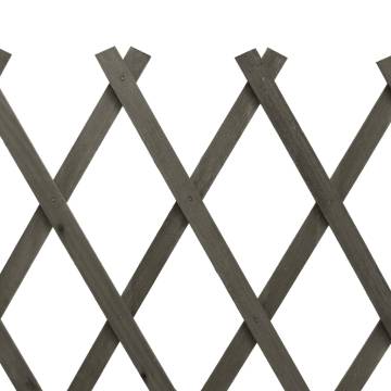 Garden Trellis Fence Grey 150x80 cm | Solid Firwood Panel