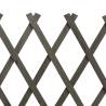 Garden Trellis Fence Grey 150x80 cm | Solid Firwood Panel