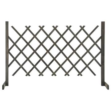 Garden Trellis Fence Grey - 120x90 cm Solid Firwood