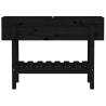 Garden Raised Bed Black 101x30x69 cm - Solid Pine Wood