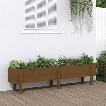 Garden Raised Bed Honey Brown 160x30x38 cm - Solid Pine