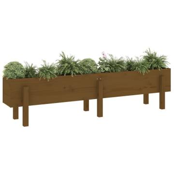 Garden Raised Bed Honey Brown 160x30x38 cm - Solid Pine