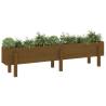 Garden Raised Bed Honey Brown 160x30x38 cm - Solid Pine