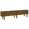 Garden Raised Bed Honey Brown 160x30x38 cm - Solid Pine