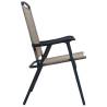 Folding Garden Chairs 2 pcs Texilene Taupe - Hipomarket