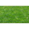 Galvanised Chicken Wire Fence with PVC Coating - 25x1 m Green